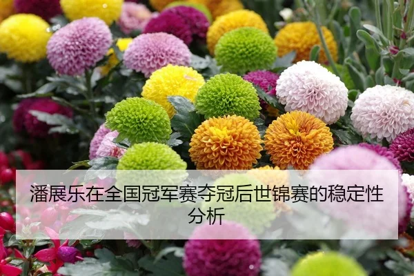 潘展乐在全国冠军赛夺冠后世锦赛的稳定性分析