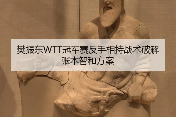 樊振东WTT冠军赛反手相持战术破解张本智和方案